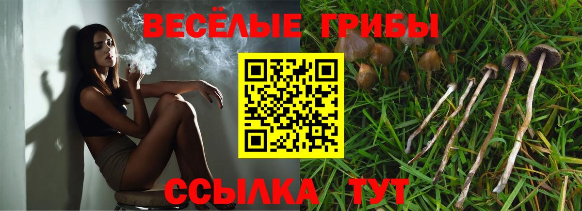 Псилоцибиновые грибы GOLDEN TEACHER  Вход с VPN  Дивногорск  Псилоцибиновые грибы ЛСД 